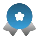 Quality Control-icon